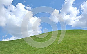 Fresh grass and sky