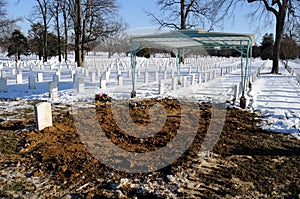 Fresh grave at Arlington Cemetery