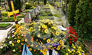 A fresh grave in a cemetery