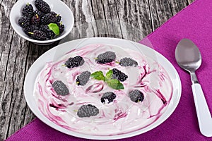 Fresh greek yogurt with colored stains and mulberry