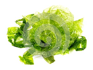 Fresh Green Algae - Healthy Nutrition