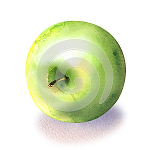 Fresh green apple, juicy fruit isolated, top view, close-up, package design element, organic vegetarian food, hand drawn