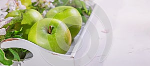 Fresh green apples with blossoming apple branch. Rural still life with green fruits, selective focus