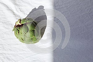 Fresh green artichoke on white. Whole raw artichoke mockup. Space for text.