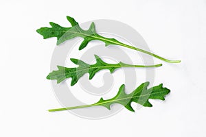 Fresh green arugula leaves isolated on white background