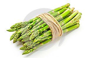 Fresh Green Asparagus Bundled with Twine