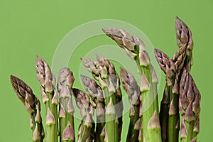 Fresh green asparagus close up on green background