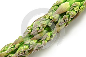 Fresh green asparagus close up on white background