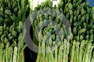 Fresh green asparagus. Healthy eating. Fall harvest, agricultural farming concept