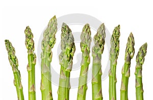 Fresh green asparagus tips in a row over white