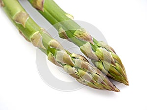 Fresh green asparagus - vegetarian delicacy