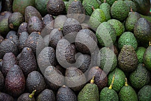 fresh green avocado in market