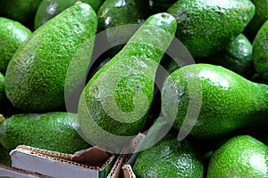 Fresh green avocado for sale at city market