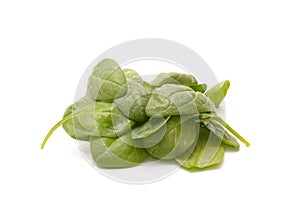 Fresh green baby spinach