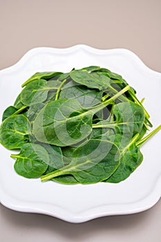 Fresh green baby Spinach leaves, diet and health concept, weight loss, spinach on ceramic plate, copy space