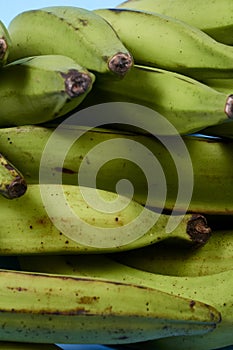 Fresh green banana on blue background, maqueno barraganete dominico