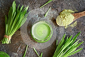 Fresh green barley grass juice with barleygrass blades and dried powder