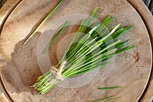 Fresh green barley grass on a wooden table, top view