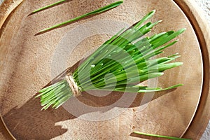 Fresh green barley grass on a wooden table, top view