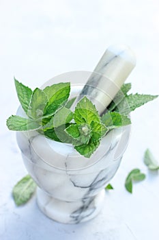 Fresh green basil in the marble mortar over white background. Close-up view