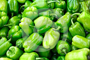 Fresh green bell paprika pepper as a background