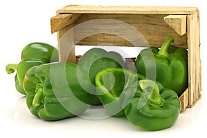 Fresh green bell peppers (capsicum)