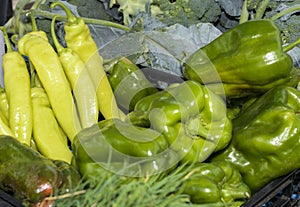 Fresh green bell peppers and chillies at the rural market