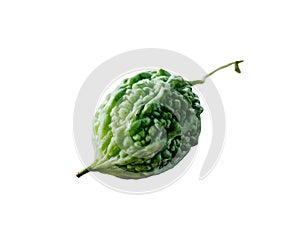 Fresh Green Bitter Melon on White Background