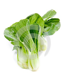 Fresh green bok choi, an oriental vegetable.