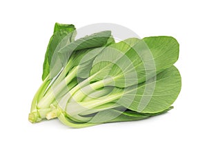 Fresh green bok choy,chinese cabbage or pak chai isolated