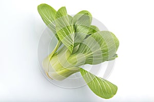 Fresh green bok choy or pac choi chinese cabbage isolated white background. Side view