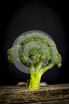 Fresh green broccol