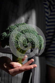 Fresh green broccoli