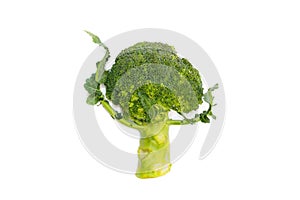 Fresh green broccoli dancing isolated on white background