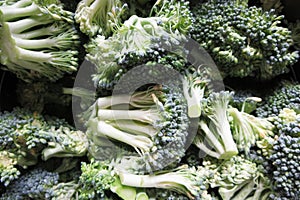 Fresh, green broccoli florets