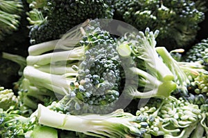 Fresh, green broccoli florets