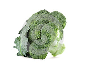 Fresh green broccoli isolated. Organic food