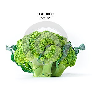 Fresh green broccoli isolated on a white background. Healthy diet food.