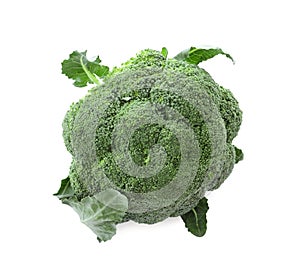 Fresh green broccoli isolated on white. Organic food