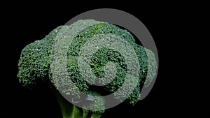 Fresh green broccoli rotating on a black background. Shopping, healthy eating concept.