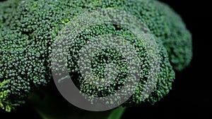 Fresh green broccoli rotating on a black background. Shopping, healthy eating concept.