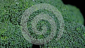 Fresh green broccoli rotating on a black background. Shopping, healthy eating concept.