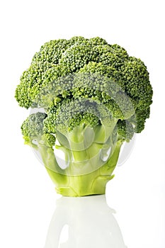 Fresh Green Broccoli on White Background