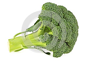 Fresh green broccoli on white background, healthy eating