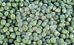 Fresh green brussels sprouts background from market