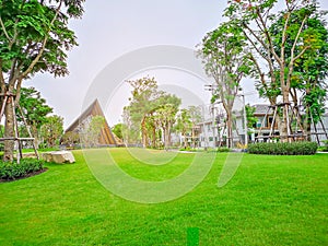 Fresh green Burmuda grass smooth lawn as a carpet with curve form of bush, trees on the background, good maintenance landscapes