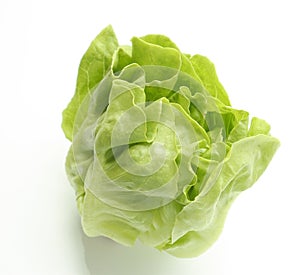 Fresh green Butter head lettuce vegetable for salad isolated on white background