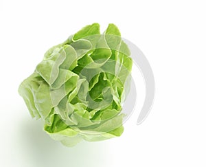 Fresh green Butter head lettuce vegetable for salad isolated on white background