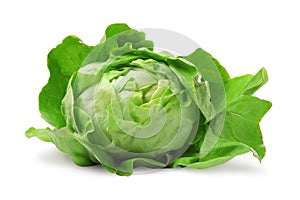 Fresh green butter lettuce head isolated on white