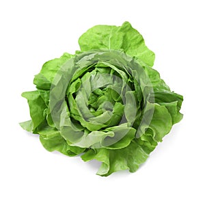 Fresh green butter lettuce head isolated on white